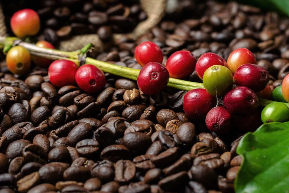 
                  
                    Mexican Veracruz Coffee
                  
                